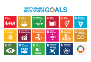 Read more about the article Publication of SDG reports