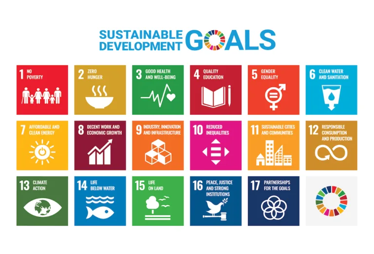 Publication of SDG reports