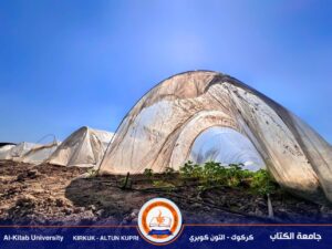 Read more about the article Al-Kitab University wins second place in the Photography Festival in Babylon.